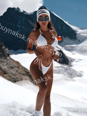 Амина — Ядрин